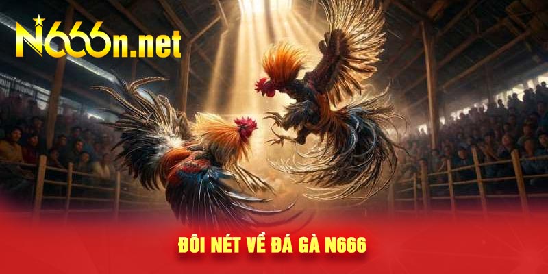 Đôi nét về đá gà N666