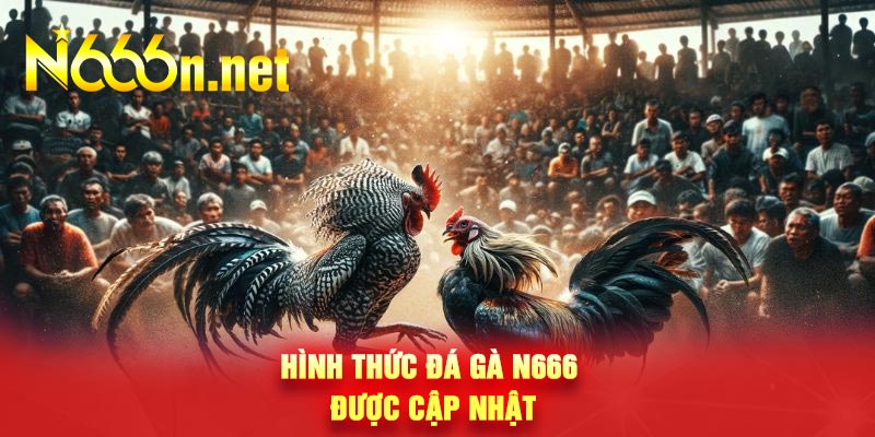 Hình thức đá gà N666 được cập nhật