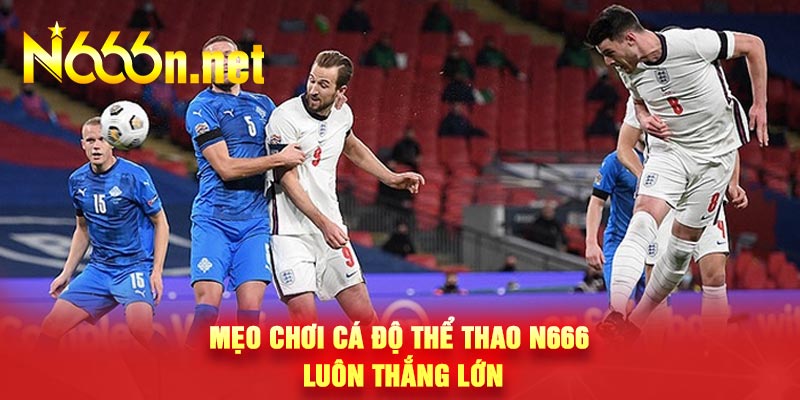 Mẹo chơi cá độ thể thao N666 luôn thắng lớn