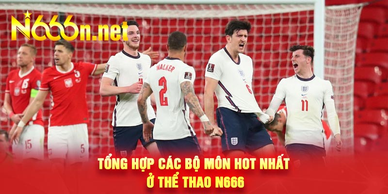 Tổng hợp các bộ môn hot nhất ở thể thao N666