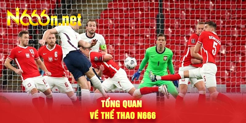 Tổng quan về thể thao N666