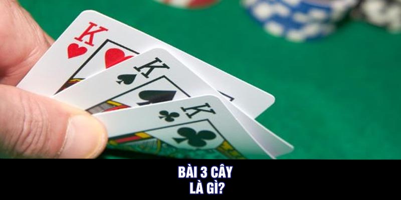 Bài 3 cây là gì?